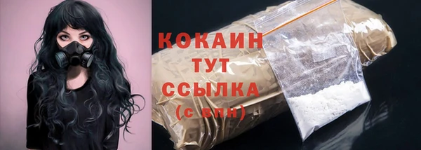 молекула духа Богородск