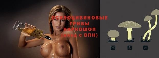 спиды Бородино