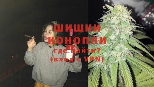 спиды Бородино