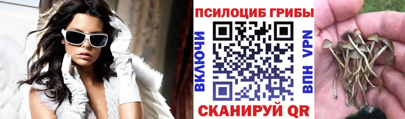 Галлюциногенные грибы ЛСД  Онега 